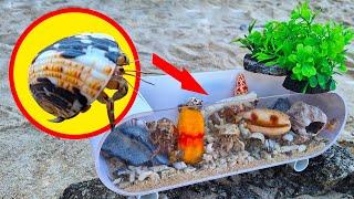 Making a tide pool aquarium | Hermit crab | Part 7