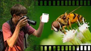 My Best Tips for Macro Videography