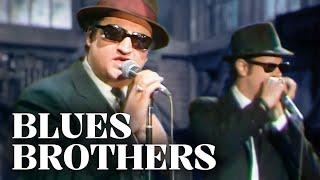 Die Blues Brothers | Doku Deutsch