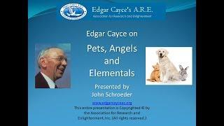 Edgar Cayce on Pets, Angels and Elementals