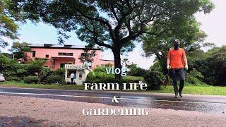 vlog 전원생활의 꽃|가드닝|텃밭 가꾸기|말벌에 쏘이다|FARM LIFE & GARDENING