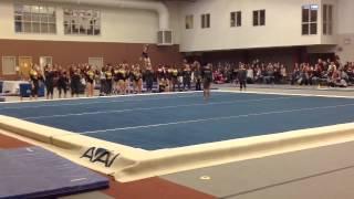 Krystal Walker - Floor vs. Hamline 1/10/15