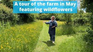 Come on a tour of this flower farm in May with a special focus on the wildflowers x