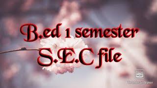 B.Ed 1 semester S.E.C. File