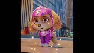 paw patrol chase and skye best capcut edition