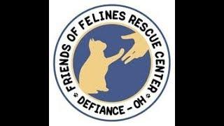 FOFRescueCenter Live Stream ©