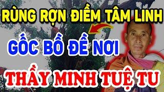 Rùng Mình Chuyện Tâm Linh Về CÂY BỒ ĐỀ Vừa Được Trồng TẠI CỐC của THẦY MINH TUỆ! | Triết Lý Tinh Hoa