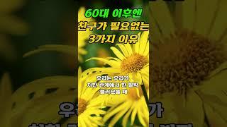 60대 이후엔 친구가 필요없는 3가지 이유 - 내인생 나답게 사는 법 ㅣ인생조언ㅣ삶의 지혜#오디오북#조언#지혜#명언#인생#깨달음#50대#60대#법정#법륜#인상#40대#좋은글#친구