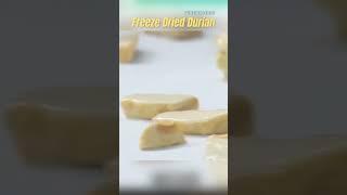 Freeze Dried Durian The King of Fruits in Every Crunch