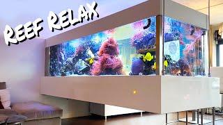 REEF RELAX - Flying Reef Tank - CHILLOUT MUSIC - exclusive private aquarium - Relaxation Sleep remix