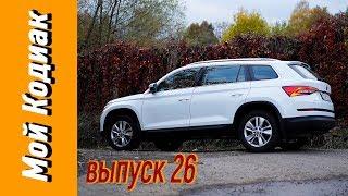 Активация скрытых функций Skoda KODIAQ