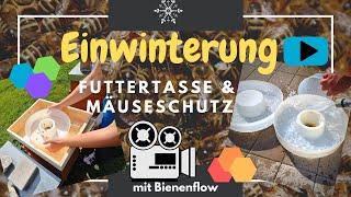 Winterization of the bee colonies | Remove the feeding cup | Check the mice grid | with Bienenflow 