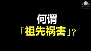 《祖先应该保佑儿孙，为什么会祸害后代？》「祖先祸害」广告《康泰开运能量馆》