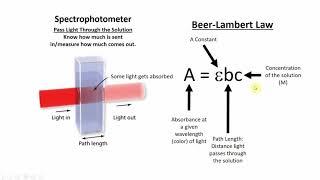 Beer's Law Overview