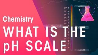 What Is The pH Scale | Acids, Bases & Alkalis | Chemistry | FuseSchool