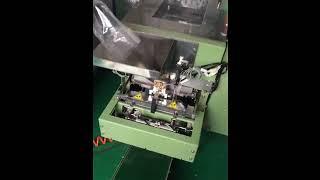 Automatische Schraubenmutter Bolt Nail Packing Machine