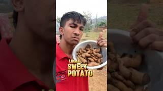 Local Sweet Potato #funnyminivlog #villagelifeminivlog #villagelife