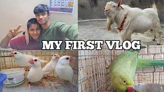 MY FIRST VLOG 2024   || VLOG 1 || MD ANAs VLOGs