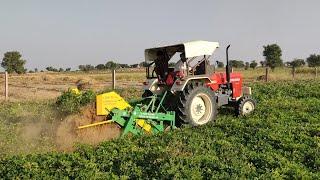 Tractor Peanut Harvesting Machine || Peanut grated? How this Naula Farm Modern Agriculture 2019 work