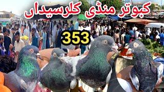 353 | Kallar Syedan Kabootar Mandi | Latest Update High Flying Pigeon Market Price | 16/10/2024 !