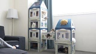 Building a huge DIY cat castle!