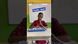 Pianika - Apuse #subscribe #music #short