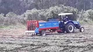 Esparcidor MERILINI - New Holland 70 std