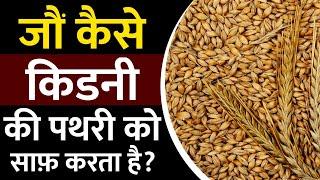 दिन में एक बार खाये और किडनी पथरी से पाए छुटकारा | Jau For Kidney Stone | Kidney Ayurvedic Treatment