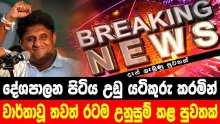 breaking news|election prediction srilanka news|hiru newa|political news|hiru tv live|news 1st