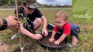 Planting Trees With My Best Friends | Stark Bros