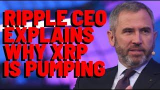 XRP: Ripple CEO Explains WHY XRP IS PUMPING