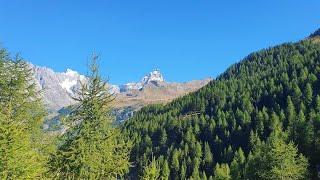 Cheneil , Chamois , Valtournenche 21/08/2022