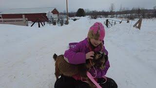 Doing Family Farm Animal Tour from Our 11yr Old's Viewpoint