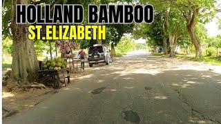 Driving Through Jamaica's Hidden Gem: Holland Bamboo, St. Elizabeth