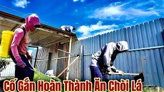 Buổi Sáng Tại Cốc Em NÔ NÈ TV - Cố Gắng Hoàn Thành Căn Chòi Để Ở