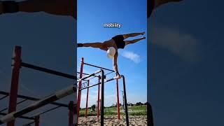 what is calisthenics?