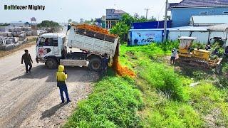 Getting Started small project, Filling Up The Land, Bulldozer KOMATSU D31p, Dump Truck 5Ton