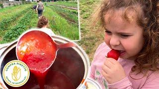 #19 - Marmellata di Fragole fatta in casa