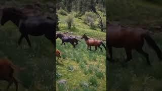 Красивые горы Узбекистана