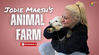 Jodie Marsh's Animal Farm - Episode 2