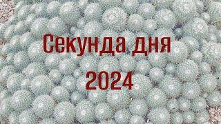 Секунда 2024