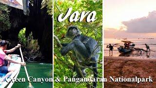 Java: Tolle Landschaft in Pangandaran mit Green Canyon und Nationalpark und Meer