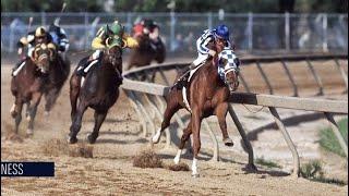 Wins the Preaknnes. Secretariat: O maior cavalo de corrida de todos os tempos! Record Turfe World