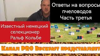 Известный немецкий селекционер Ральф Кольбе делится своим опытом по матководству.Третья часть