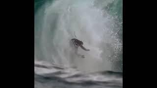 Kook of the day Back Flip Surfer #funny #surf #fails #kookoftheday #hawaii #surfing #california