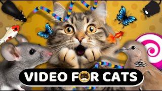 CAT GAMES - Mice, Strings, Birds, Fish, Bugs, Ants, Butterflies. CAT TV Compilation.