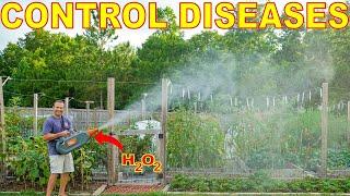 This Hydrogen Peroxide Spray Uses SCIENCE To Control Garden Diseases