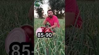 0050 डालदू?? #0050 #indianfarmer #farming #khetibadi #shorts