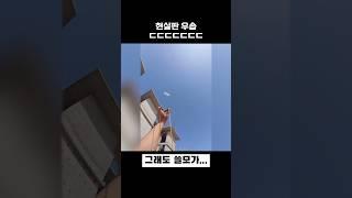 우솝 현실판