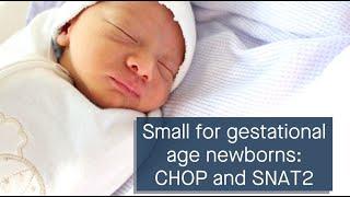 Small for gestational age newborns: CHOP upregulation and SNAT2 dysregulation